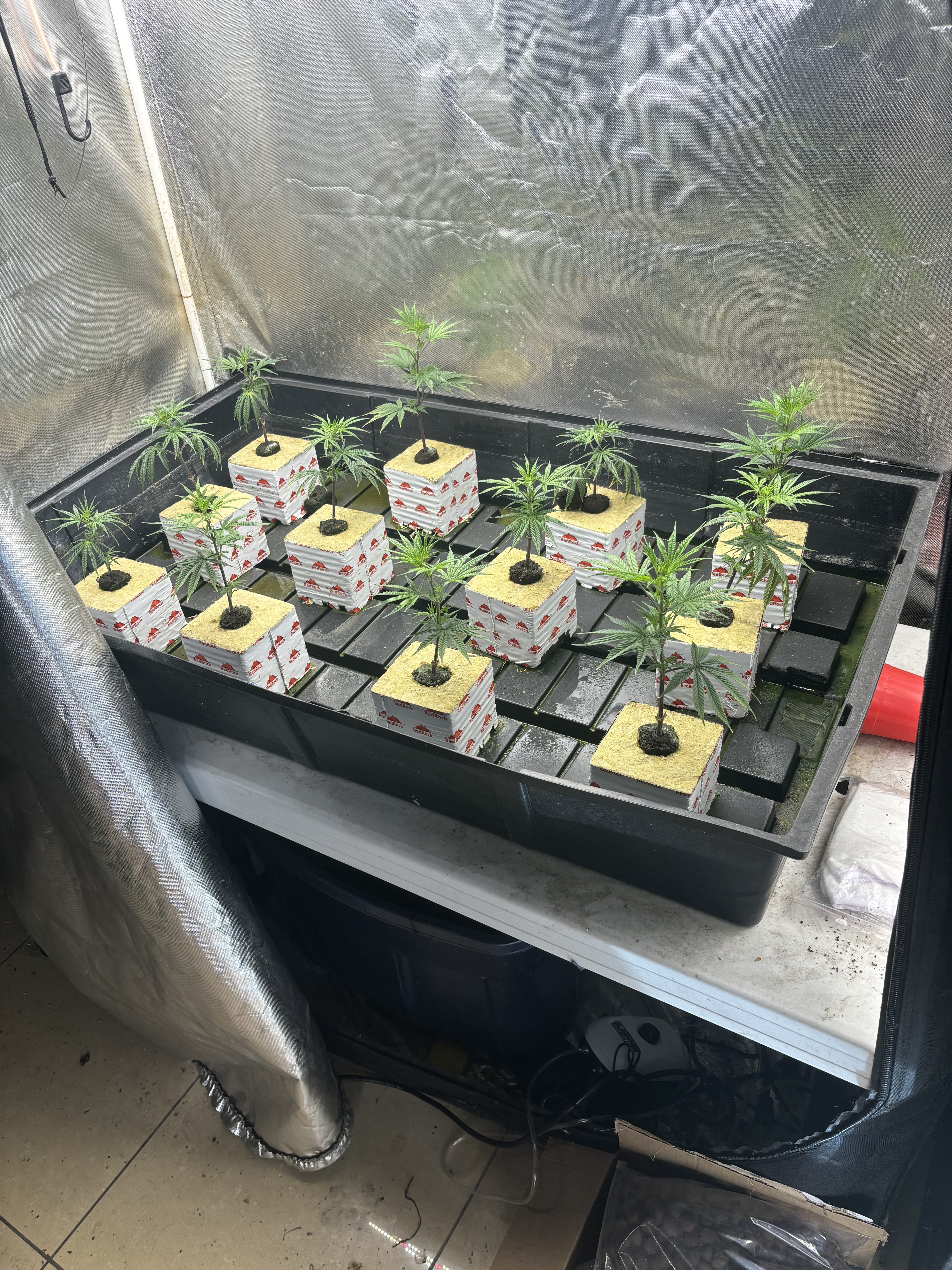 photo: old ebb and flow table